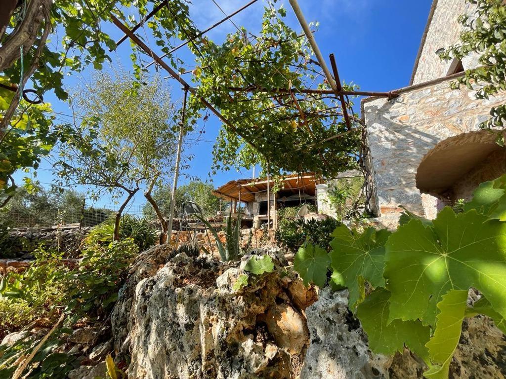 Láyia Find Your Peace In A Traditional Country House!! מראה חיצוני תמונה