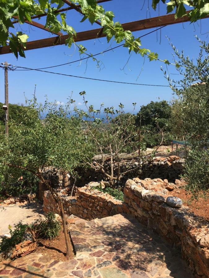Láyia Find Your Peace In A Traditional Country House!! מראה חיצוני תמונה